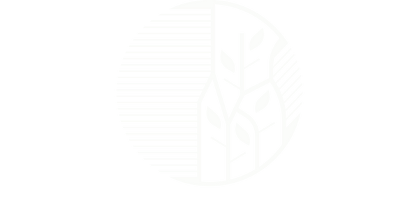 Skills Village
